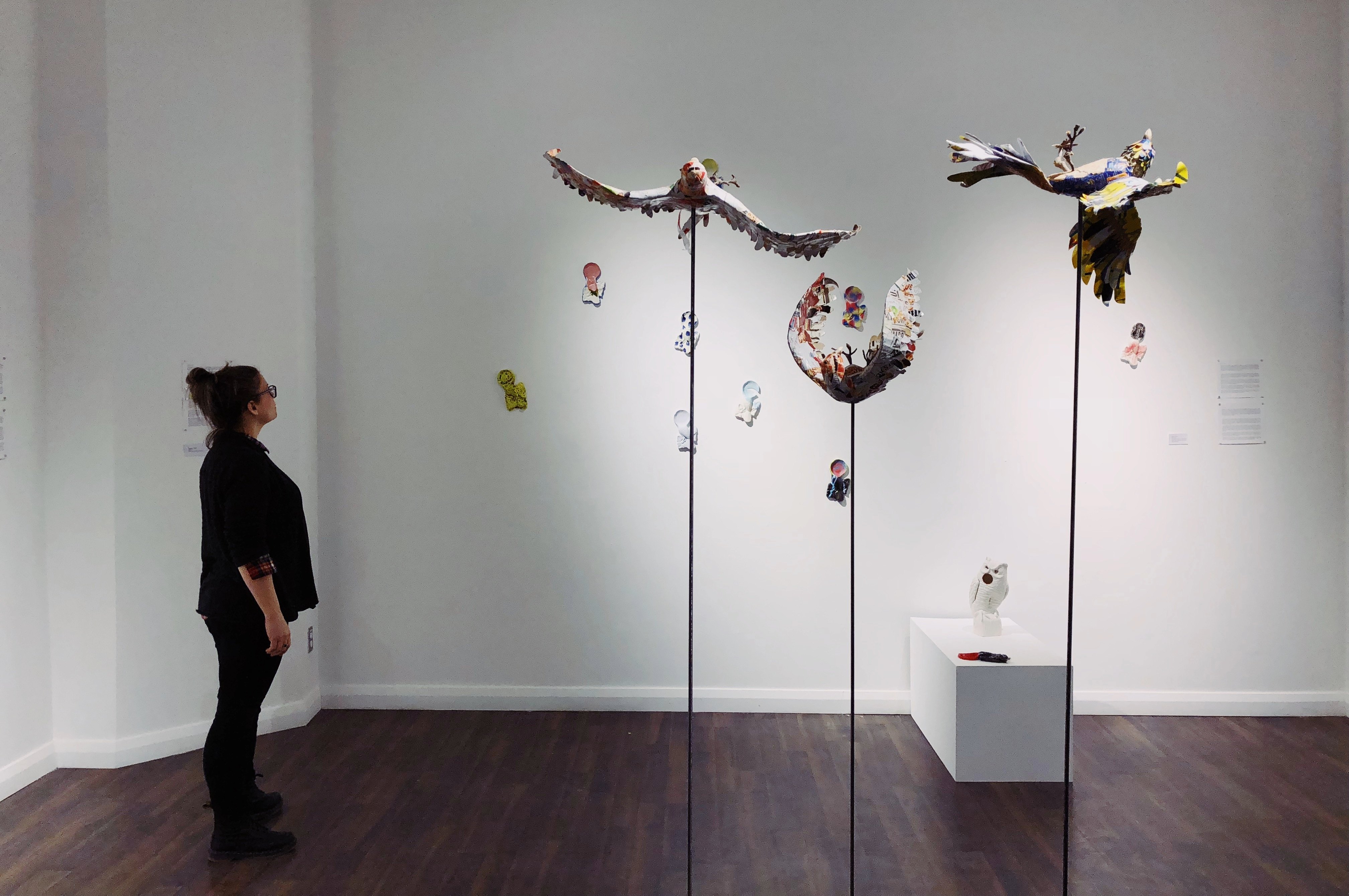 LRR 115 Gallerie